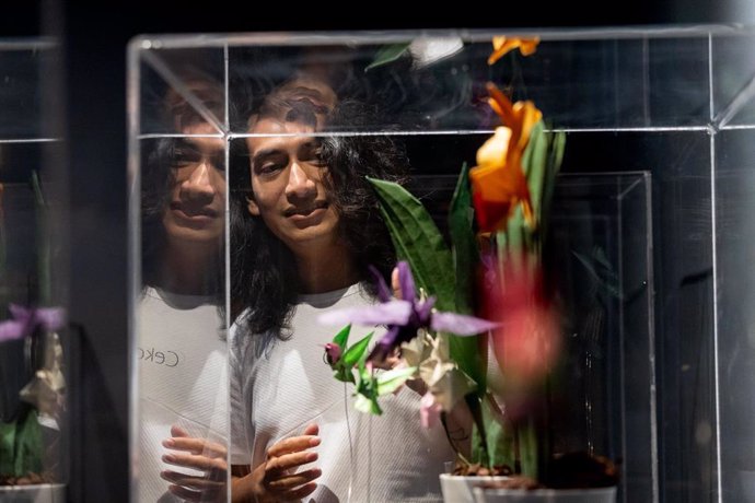 La exposición de origami "Orquídeas y colibríes", del mexicano Cekouat León estará en la EMOZ