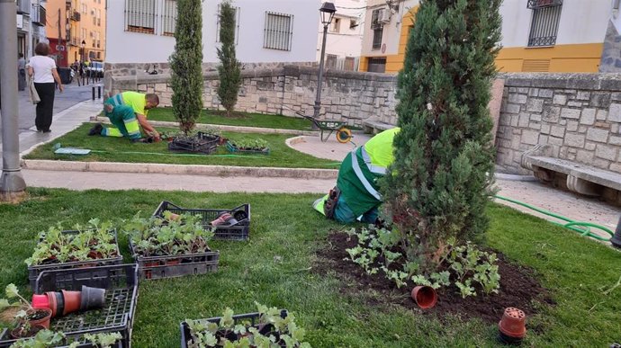 Archivo - Operarios plantando flores