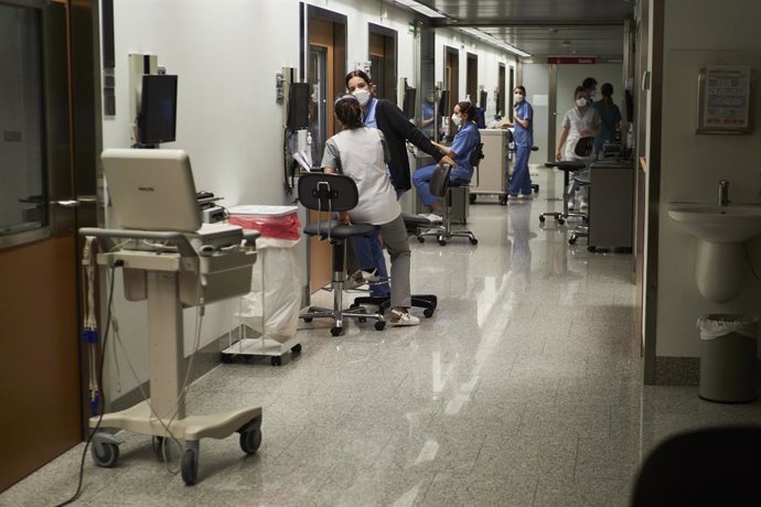 Archivo - Arxiu - Personal sanitari en les installacions del Centre d'Investigacions Mdiques Aplicades (CIM) de la Universitat de Navarra, a Pamplona, Navarra, (Espanya), a 10 de novembre de 2020.