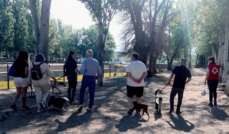 Cooperación y Desarrollo