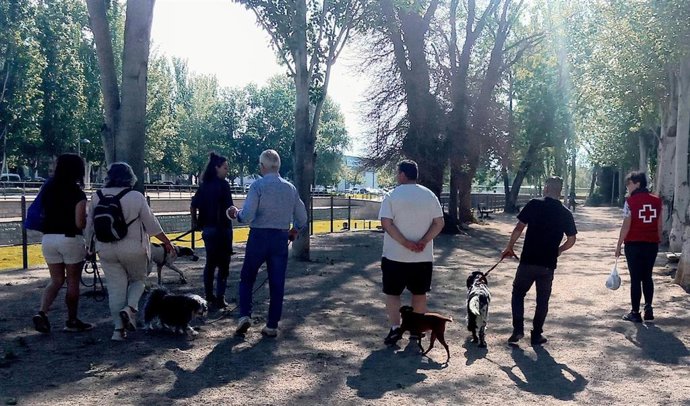 Cruz Roja impulsa el proyecto Crece para evitar la institucionalización de las personas en situación vulnerable.