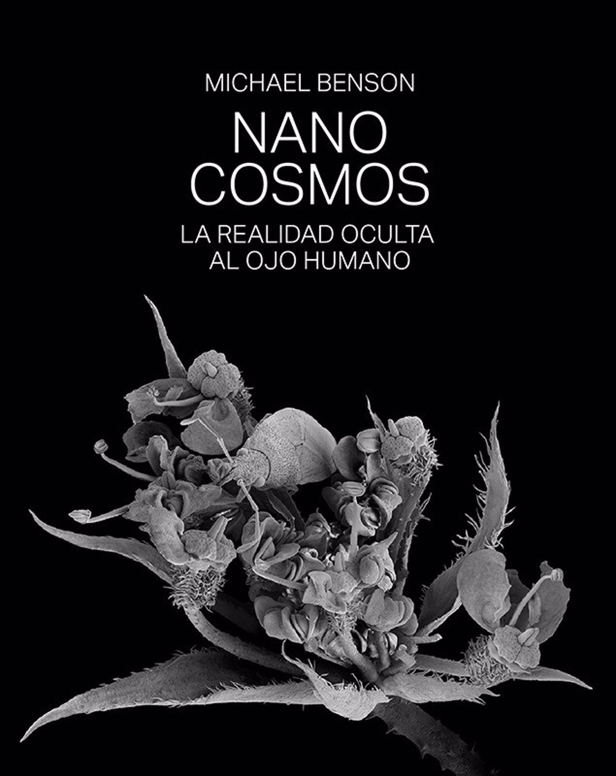 Arte e ciência se fundem na exposição “Nanocosmos”, na Plaza de la Nogalera em Torremolinos