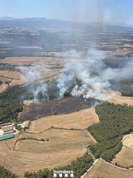 Fuego en una zona de vegetación agrícola de Vilademuls