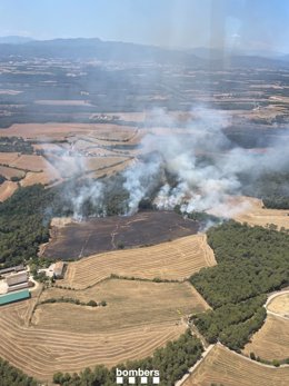 Foc en una zona de vegetació agrícola de Vilademuls
