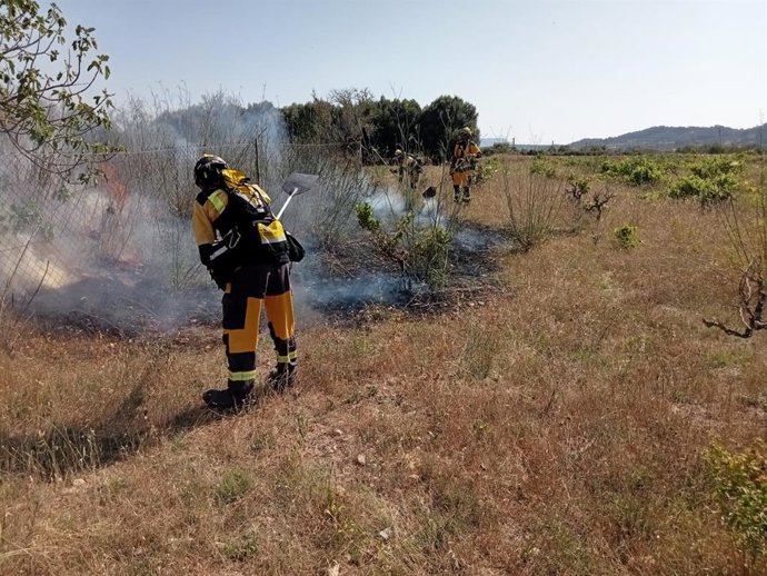 Agentes de Medio Ambiente trabajan en el incendio agrícola declarado este sábado, 24 de junio, entre Sineu y Sant Joan