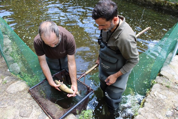Dos trabajadores del Centro de Salmónidos del Jerte con un salmón en la instalación.