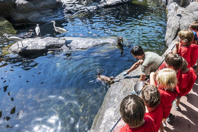 Activitat d'oci educatiu del Zoo de Barcelona a l'estiu