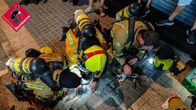 Un incendio en una vivienda en Benidorm deja tres mascotas intoxicadas por inhalación de humo