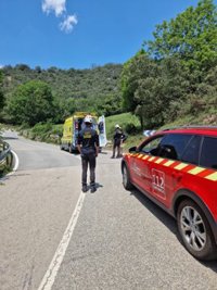 Evacuado un hombre de una pista de Pesaguero tras sufrir una reacción alérgica a la picadura de un insecto