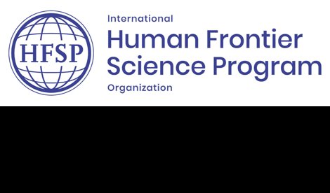 Comunicados Internacional