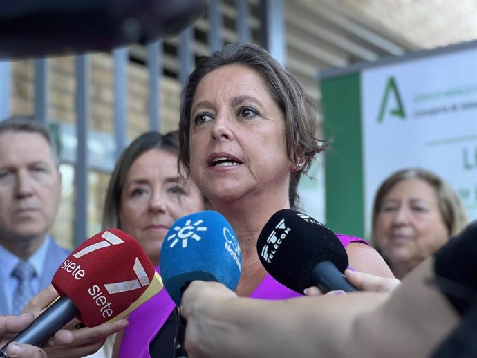 La consejera de Salud y Consumo, Catalina García, atiende a los periodistas.
