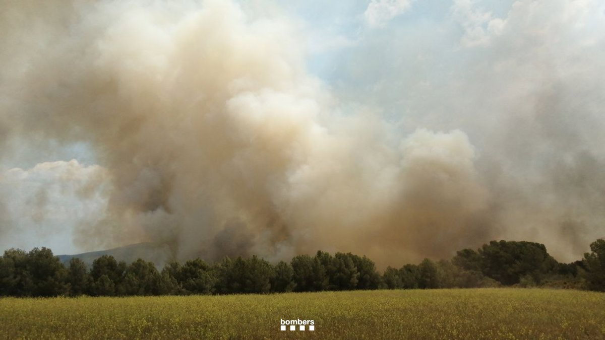 Un incendio en el Pont d'Armentera (Tarragona) quema unas 10,5 hectáreas