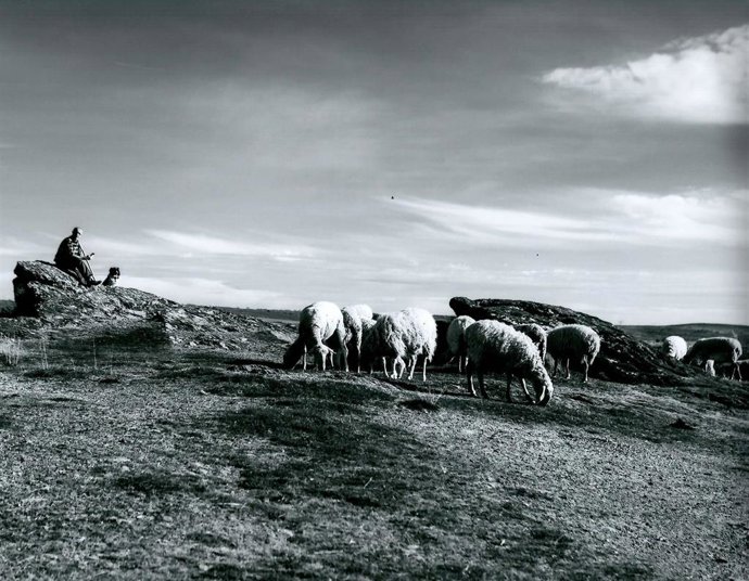 Una de las imágenes premiadas en ediciones anteriores.