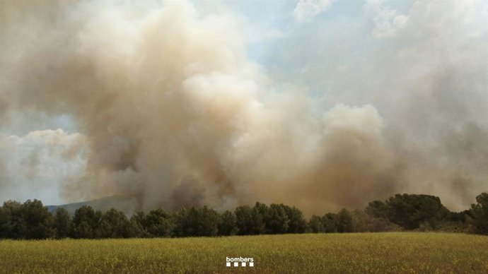 Imagen del incendio en Pont d'Armentera (Tarragona)