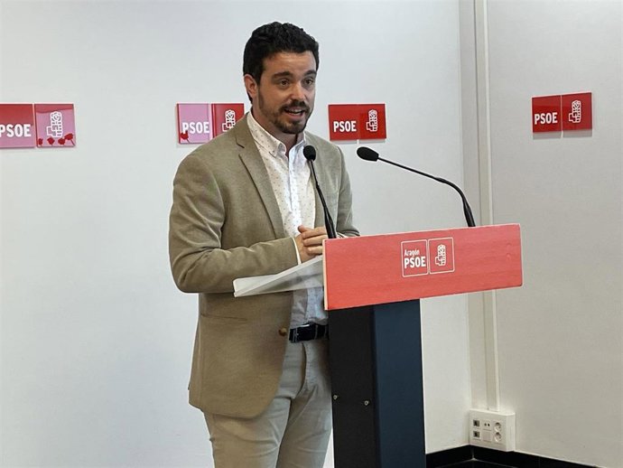 El secretario de Organización del PSOE Aragón, Darío Villagrasa.