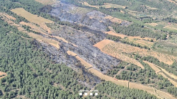 Imatge de l'incendi
