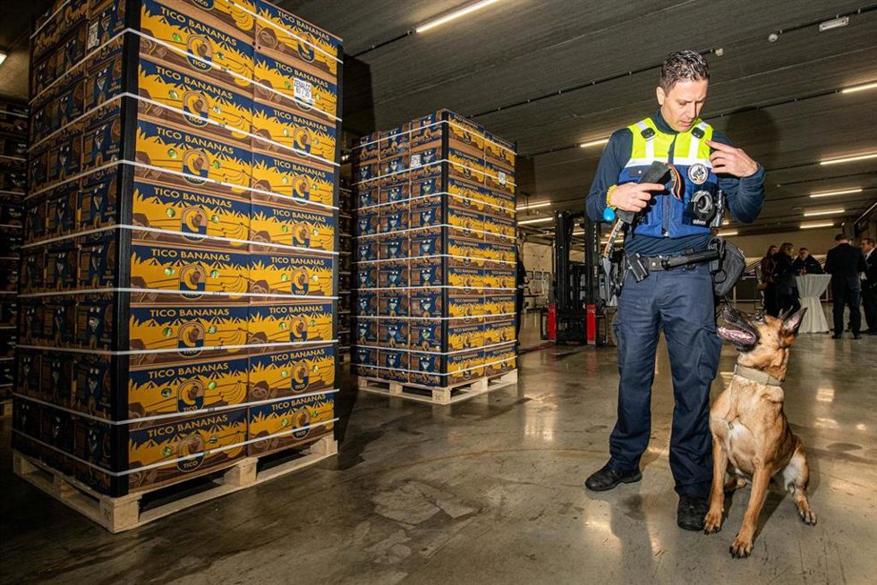 Archivo - Inspección de un cargamento de banana en el puerto de Róterdam