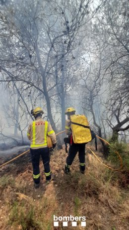 Dos bombers treballen en l'extinció de l'incendi de Pont d'Armentera (Tarragona) aquest dilluns