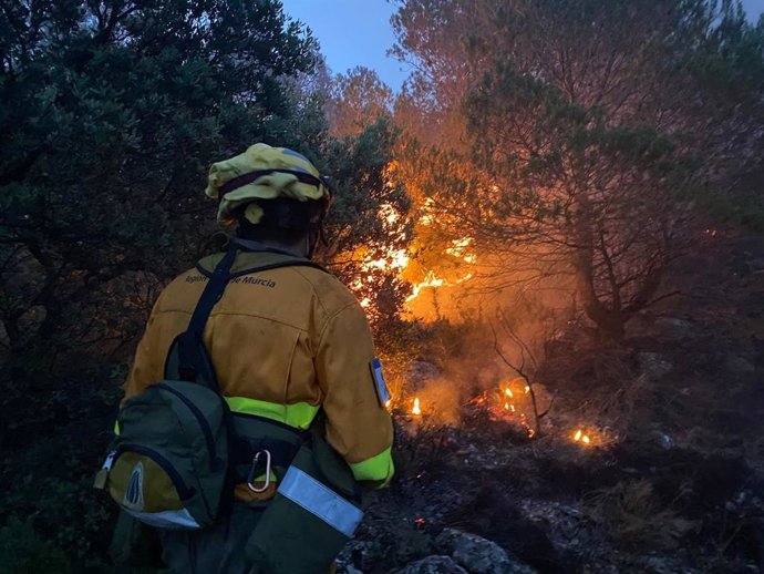 Un efectivo del CEIS trabaja en la extinción de un incendio declarado en la Sierra de la Pila, en Fortuna (Murcia)