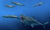 Foto: Una nueva investigación geoquímica confirma que el tiburón megalodón era de sangre caliente