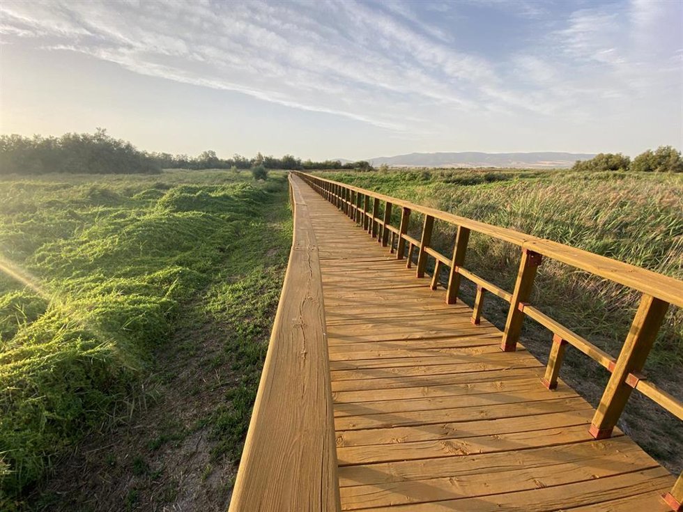 Archivo - Un sendero en el Parque Nacional de las Tablas de Daimiel, a 8 de septiembre de 2021, en Ciudad Real, Castilla-La Mancha (España). La empresa Ecodestinos ha suspendido las visitas guiadas a este Parque Nacional y reserva de la biosfera debid