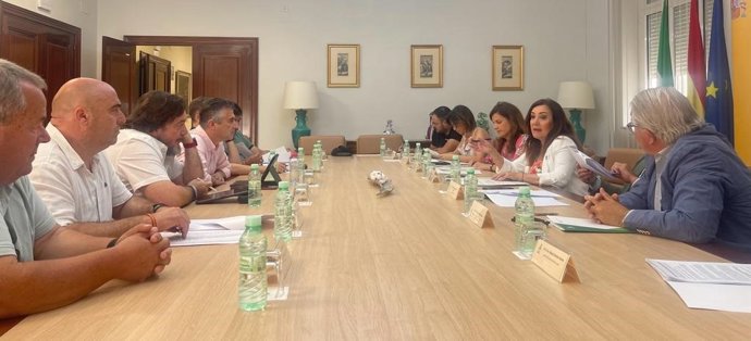 Reunión de la comisión del PFEA.