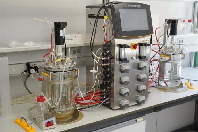 Archivo - El Instituto de Agroquímica y Tecnología de Alimentos (IATA, CSIC) inaugura su bodega experimental, una planta piloto donde aplicará la tecnología conocida como gemelos digitales a la producción del vino