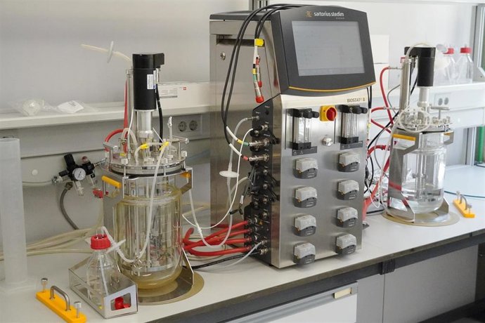 Archivo - El Instituto de Agroquímica y Tecnología de Alimentos (IATA, CSIC) inaugura su bodega experimental, una planta piloto donde aplicará la tecnología conocida como gemelos digitales a la producción del vino