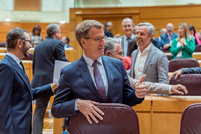 Archivo - El presidente del Partido Popular, Alberto Núñez Feijóo, durante una sesión plenaria en el Senado, a 16 de mayo de 2023, en Madrid (España). El jefe del Ejecutivo y el líder de PP protagonizan un nuevo debate parlamentario a escasos doce días de