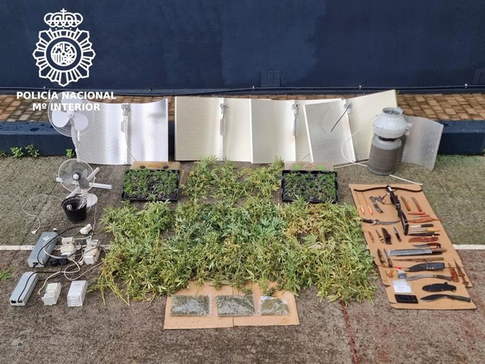 Nota De Prensa 27.06.2023 La Policía Nacional Desmantela Una Plantación Indoor De Marihuana, Instalada En Una Vivienda En Una Calle Céntrica De Santander