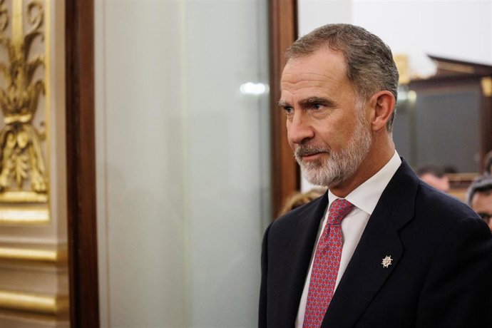 El Rey Felipe VI