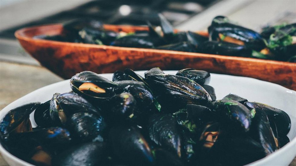 Mejillones