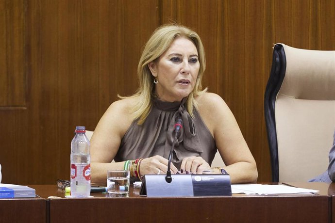 La consejera de Economía, Hacienda y Fondos Europeos, Carolina España, este martes durante su comparecencia en comisión.