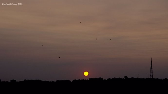 El humo de los incendios de Canadá llega a Madrid y deja un sol anaranjado