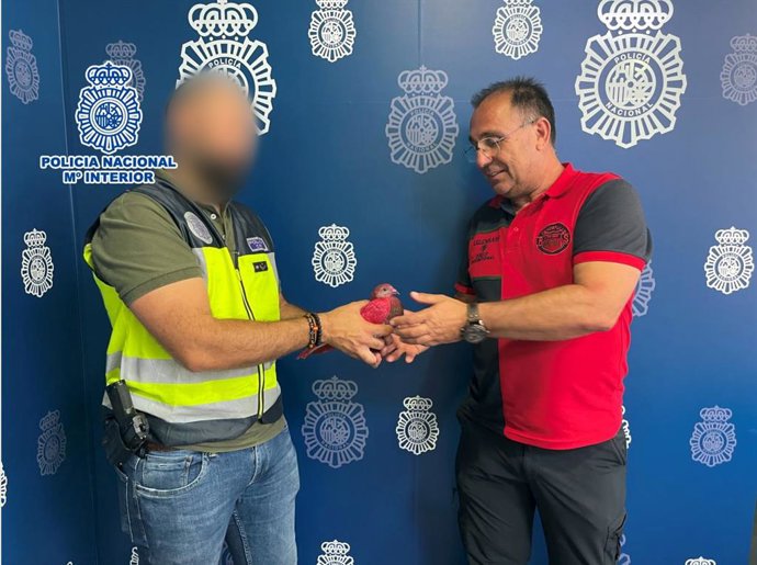 La Policía Nacional ha detenido a tres personas --dos varones, de 17 y 18 años, y una mujer, de 21 años-- por presuntamente sustraer trece palomos de competición valorados en 3.000 euros