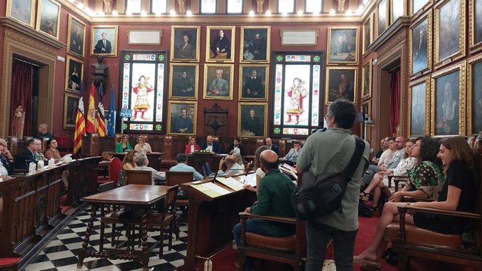 Sesión plenaria de organización del Ayuntamiento de Palma.