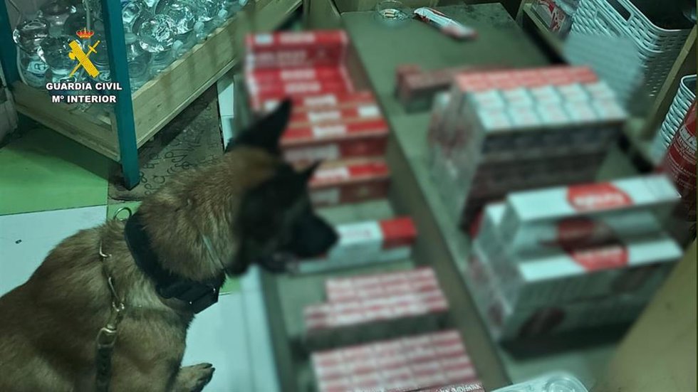 Hallan más de 360 cajetillas de tabaco ocultas tras la pared de un kiosko de golosinas en Jerez