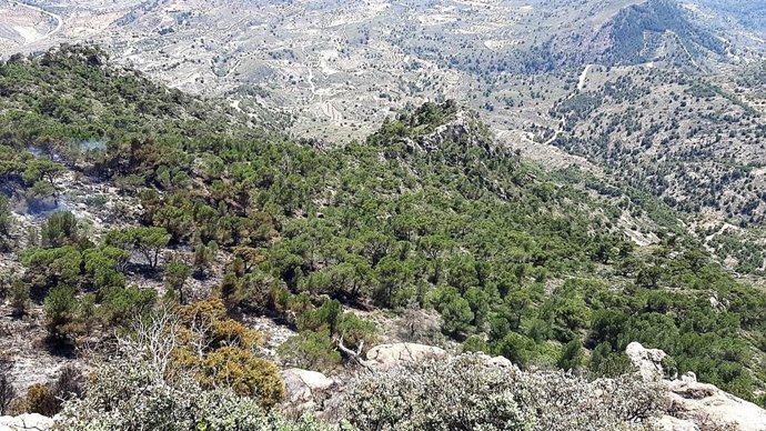 Imagen facilitada por la Dirección General del Medio Natural