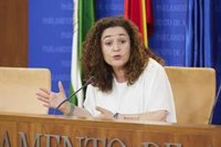 Nieto califica comparecencia de Moreno de "acto electoral aburrido" y ve su alusión a Doñana "ejemplo de su desconexión"