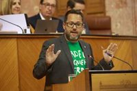 Adelante: "El día que Feijóo o Ayuso gobiernen Moreno guarda la bandera de Andalucía"