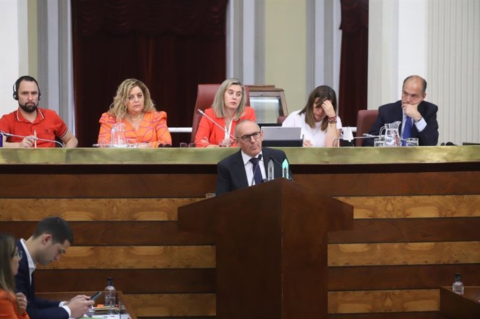 El candidato del PNV a la reelección como diputado general de Álava, en su intervención en el ppeno de investidura