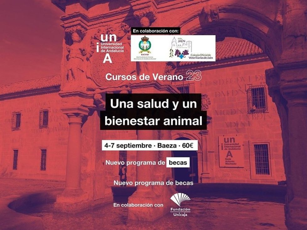 Cartel del curso.