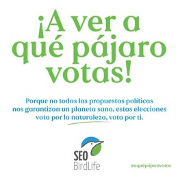 SEO/BirdLife lanza una campaña para que la ciudadanía tenga en cuenta la naturaleza en las elecciones del 23J