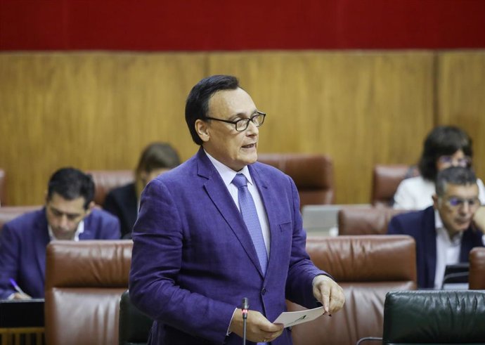 El consejero de Universidad, Investigación e Innovación, José Carlos Gómez Villamandos, en el Pleno del Parlamento andaluz (archivo)