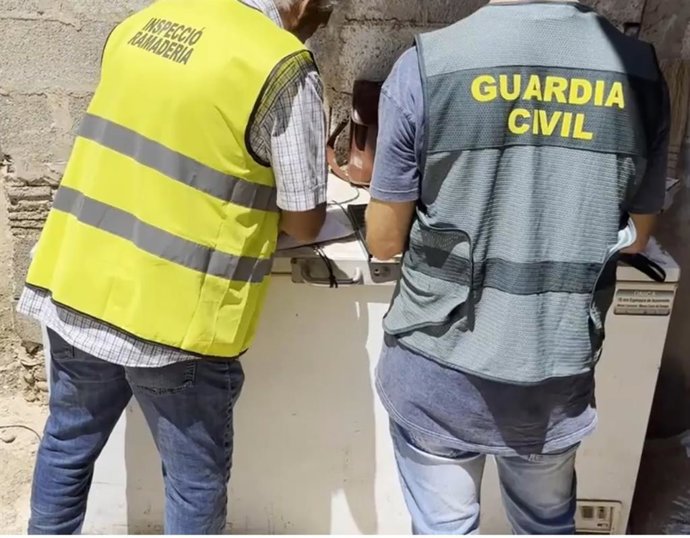 Un agentes de la Guardia Civil y personal de inspección de ganadería.