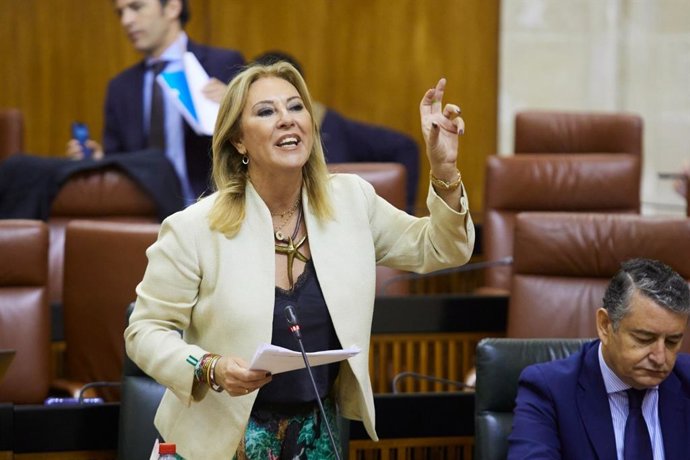 La consejera de Economía, Hacienda y Fondos Europeos, Carolina España,  en la sesión de control al Gobierno.