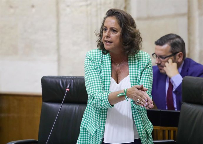 La consejera de Salud y Consumo, Catalina García, en una imagen de archivo de una sesión del Palamento.