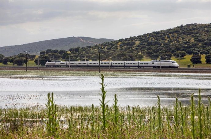 Archivo - Un tren AVE a su paso por una dehesa.