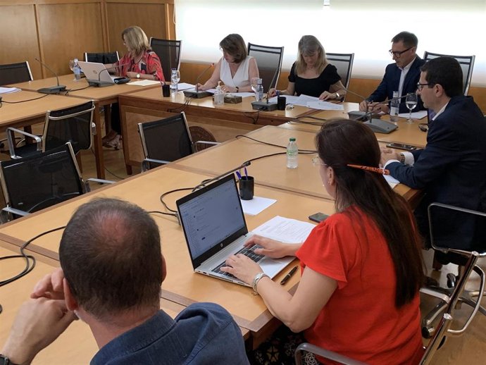 La rectora de la Universidad de Alicante (UA), Amparo Navarro, en una reunión del Consejo de Gobierno de la UA.