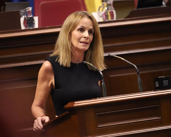 Luz Reverón, portavoz del PP en el Parlamento de Canarias